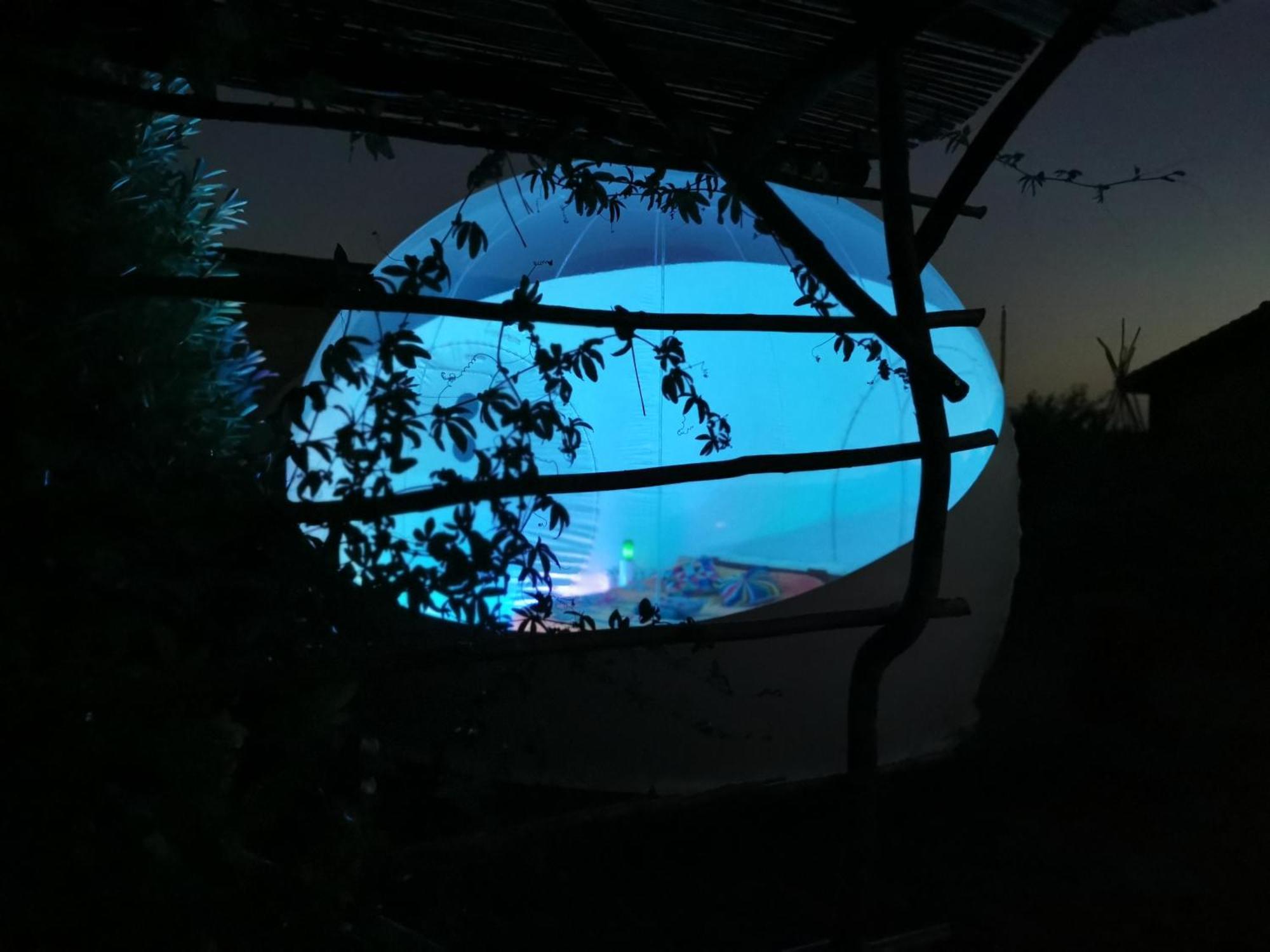 Bed and Breakfast La Bulle Des Champs Champmotteux Номер фото